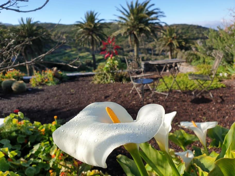 Casa Tara Ruhe Und Entspannung, Natur Pur Acardece Exteriér fotografie