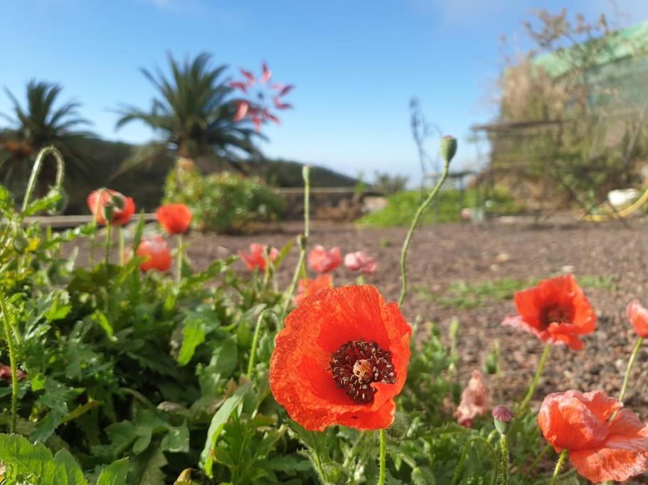 Casa Tara Ruhe Und Entspannung, Natur Pur Acardece Exteriér fotografie
