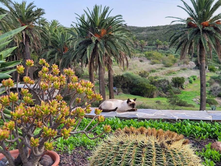 Casa Tara Ruhe Und Entspannung, Natur Pur Acardece Exteriér fotografie