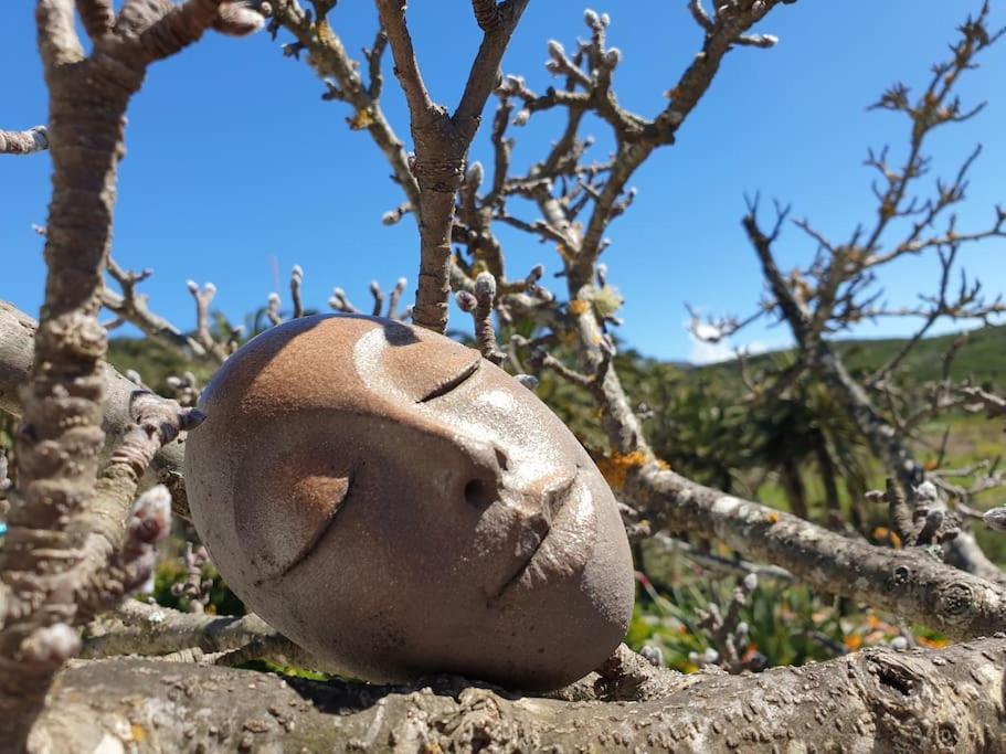 Casa Tara Ruhe Und Entspannung, Natur Pur Acardece Exteriér fotografie