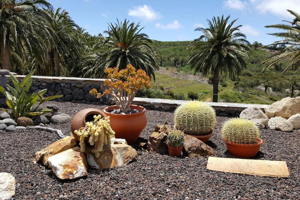 Casa Tara Ruhe Und Entspannung, Natur Pur Acardece Exteriér fotografie